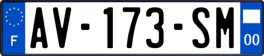 AV-173-SM