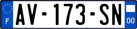 AV-173-SN