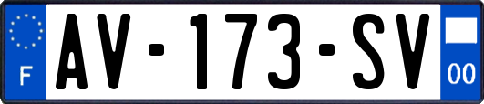 AV-173-SV