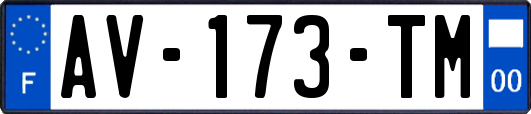 AV-173-TM