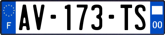 AV-173-TS
