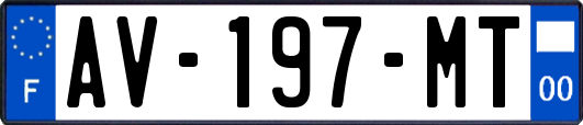 AV-197-MT