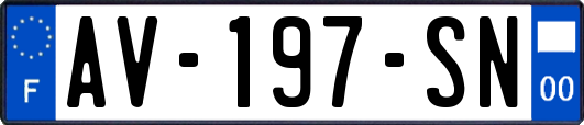 AV-197-SN