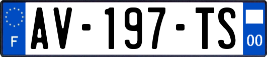 AV-197-TS