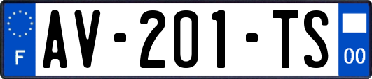 AV-201-TS