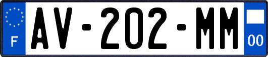 AV-202-MM