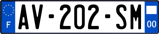 AV-202-SM