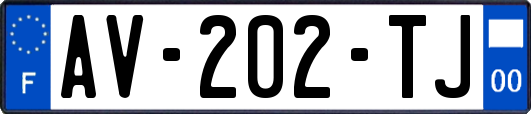 AV-202-TJ