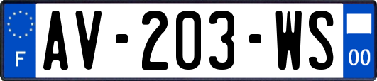 AV-203-WS