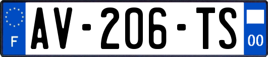AV-206-TS