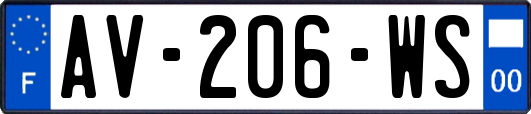 AV-206-WS