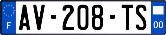 AV-208-TS