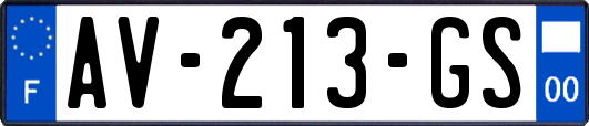 AV-213-GS