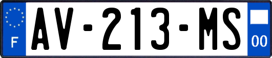 AV-213-MS