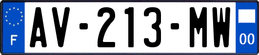 AV-213-MW