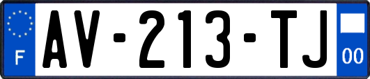 AV-213-TJ