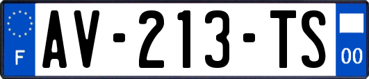 AV-213-TS