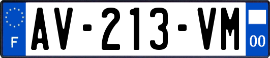 AV-213-VM