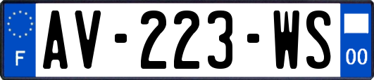 AV-223-WS