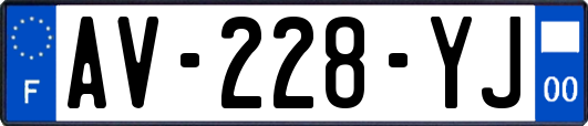 AV-228-YJ