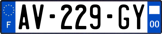 AV-229-GY