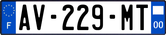 AV-229-MT