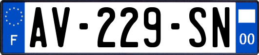 AV-229-SN