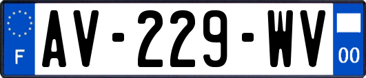 AV-229-WV