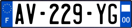 AV-229-YG