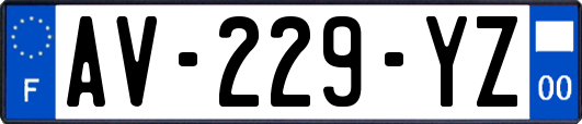 AV-229-YZ