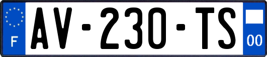 AV-230-TS