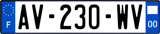 AV-230-WV
