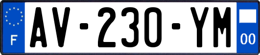 AV-230-YM