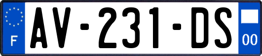 AV-231-DS