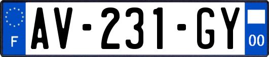 AV-231-GY