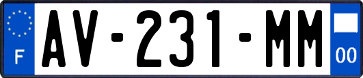 AV-231-MM