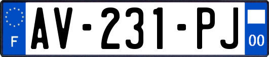 AV-231-PJ