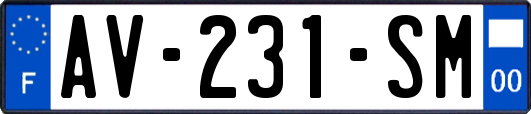 AV-231-SM