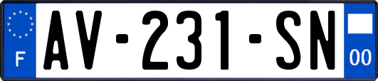 AV-231-SN