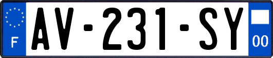 AV-231-SY