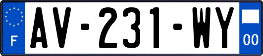AV-231-WY