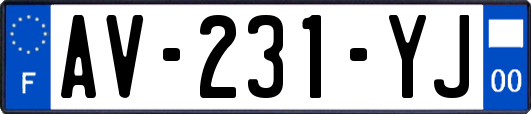 AV-231-YJ