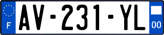 AV-231-YL