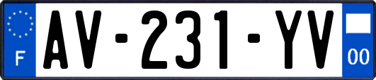 AV-231-YV