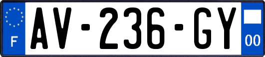 AV-236-GY
