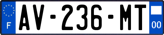AV-236-MT