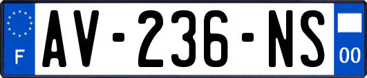 AV-236-NS