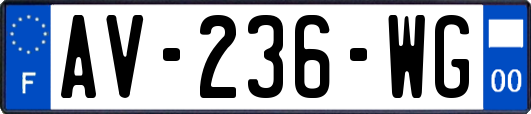 AV-236-WG