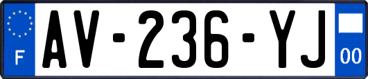 AV-236-YJ