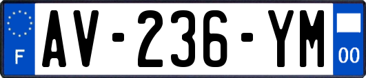 AV-236-YM